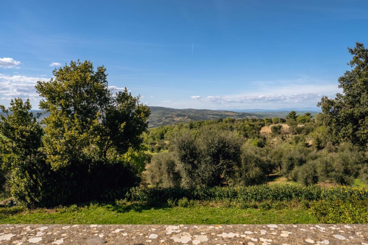 Podere Montale Il Borgo 세지아노 외부 사진